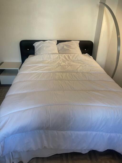 Appartement Croix Rousse 69004 Lyon Exteriör bild